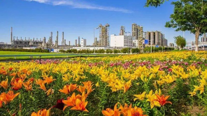 工程塑料代理加盟，你需要了解的五大关键点**